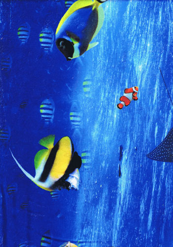 Blauer Fleecestoff (Digitaldruck) mit unterschiedlichen Fischen unter Wasser
